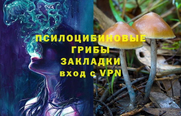 бошки Костерёво